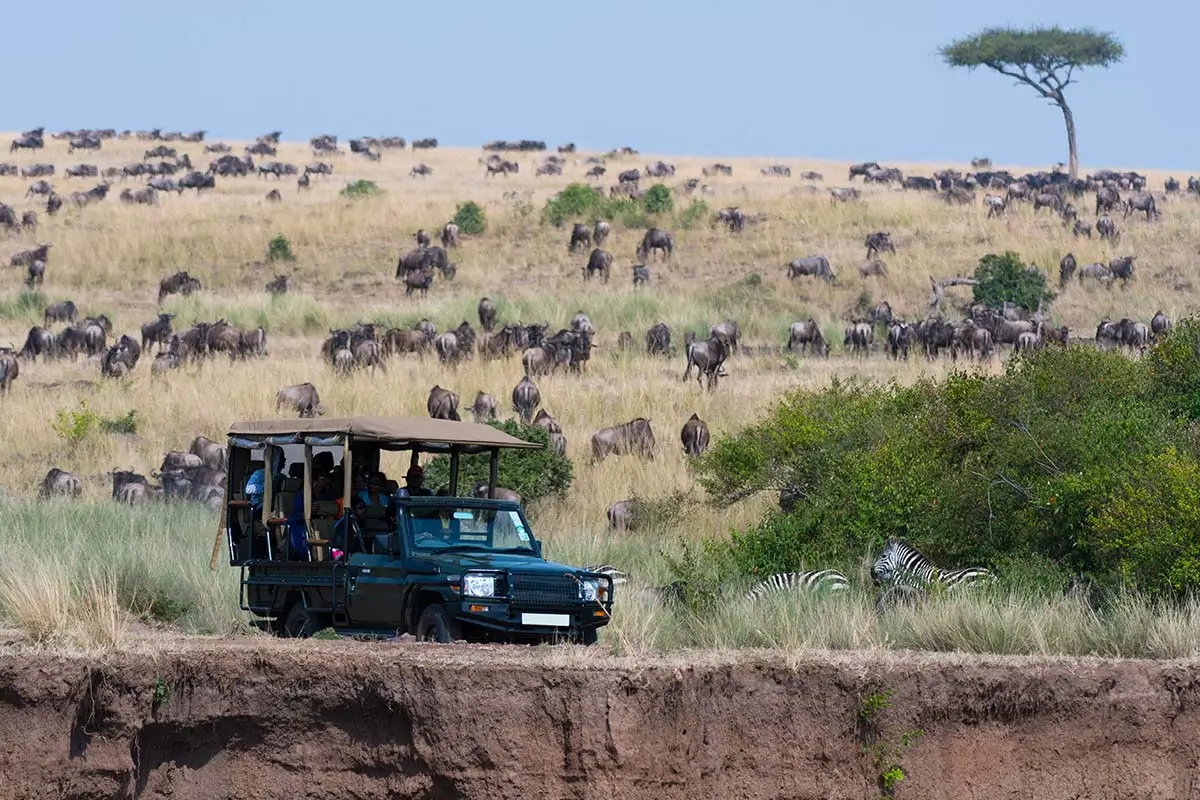 Game drive in Masai Mara at sunset with jeep