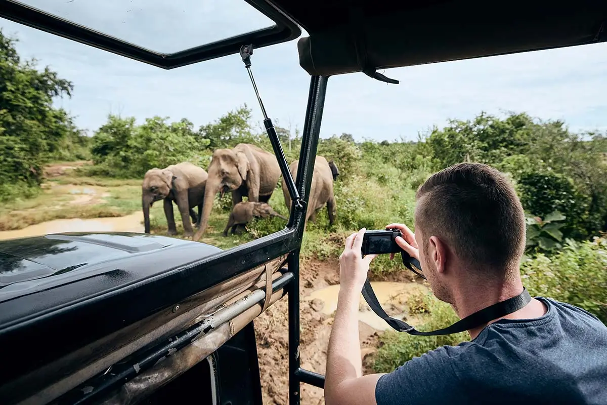 Group of elephants photographed in Masai Mara during safari